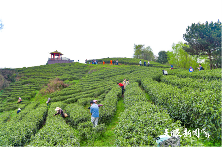 微度假·游貴州丨B線通稿(1)3696_副本.png